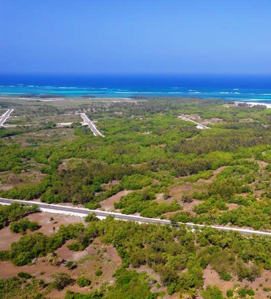 Pemba Agriculture