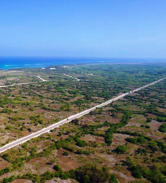 Pemba Marine Life